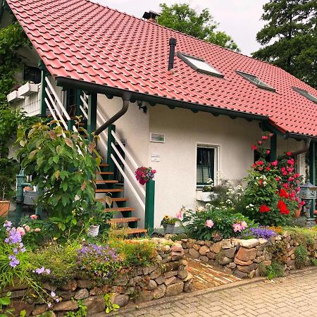 Ferienwohnung An Der Foersterei Ohrenfeld المظهر الخارجي الصورة