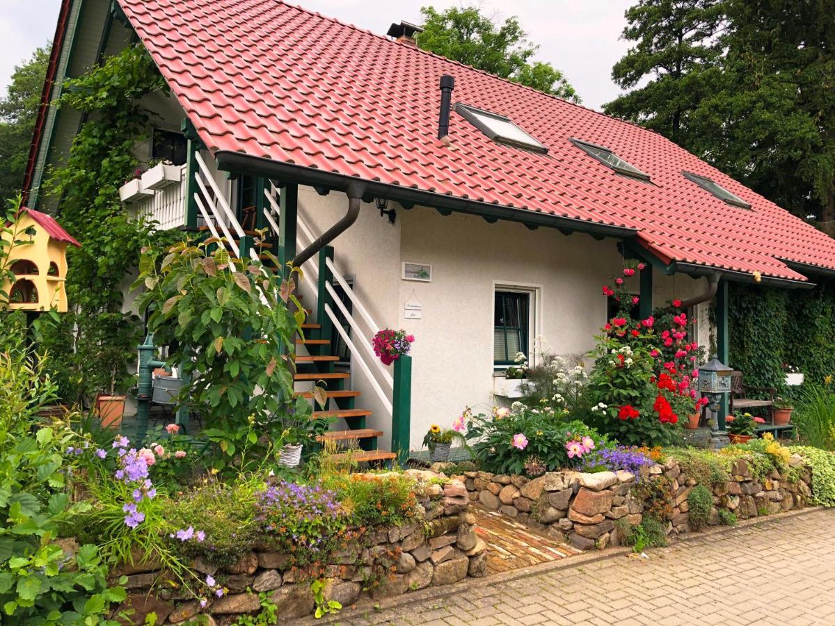 Ferienwohnung An Der Foersterei Ohrenfeld المظهر الخارجي الصورة
